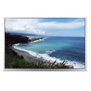 11.6" HDMI TFT LCD