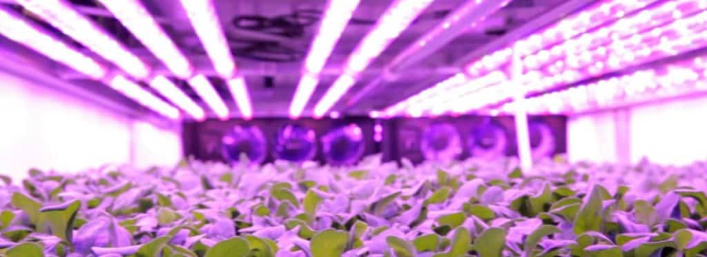 Modern Farm using LED Lighting | iHP Series | Relec Electronics Ltd 2020