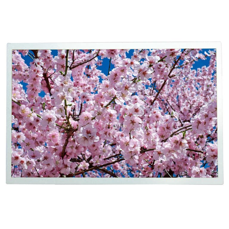 12.1" Widescreen HDMI TFT