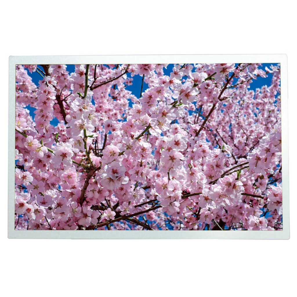 12.1" IPS TFT LCD Display