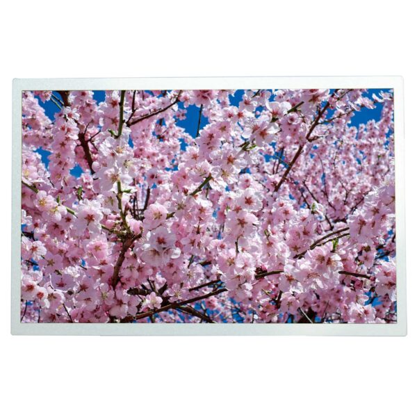 12.1" Widescreen HDMI TFT